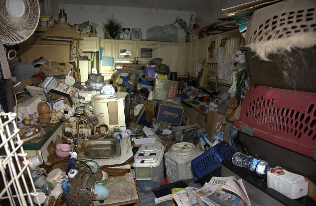 A picture showing inside the cluttered home with cat cages.