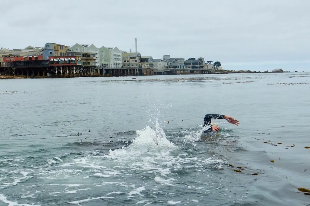 A triathlete in a black wetsuit swimming in the ocean, with coastal buildings visible in the background.