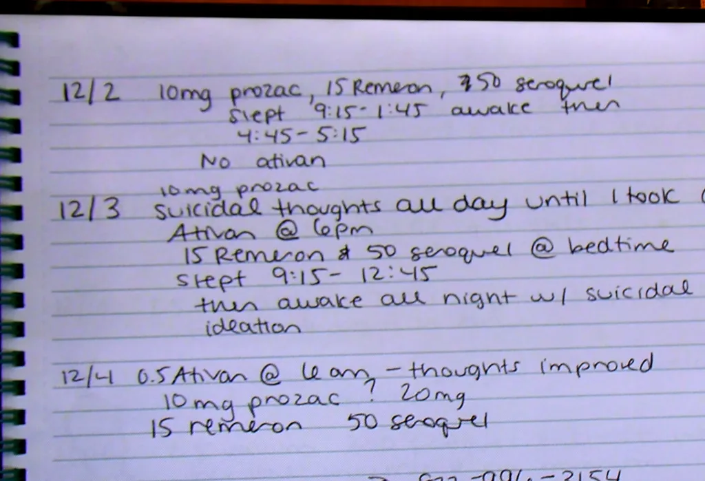 Lindsay Clancy's journal of medications.