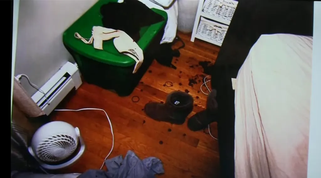 Blood splatter on the floor of a bedroom.