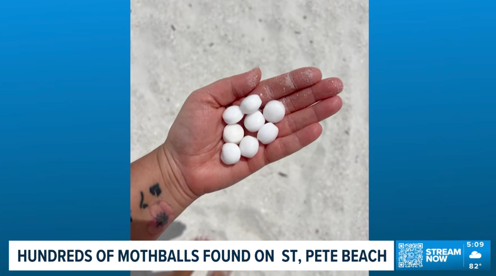 Volunteers pick up thousands of mothballs dumped onto St. Pete Beach in St. Petersburg, Florida.